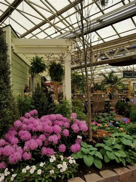 Hicks nursery westbury - Hicks Nurseries in Westbury is hosting its 34th annual Flower and Garden Show from March 7-31. Credit: Howard Simmons“We give people incentive to buy early for the season with lots of great ...